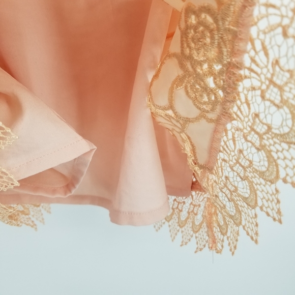 Lovers + Friends | NWT Caspian Lace Sleeveless Shift Mini Dress - Picture 8 of 11